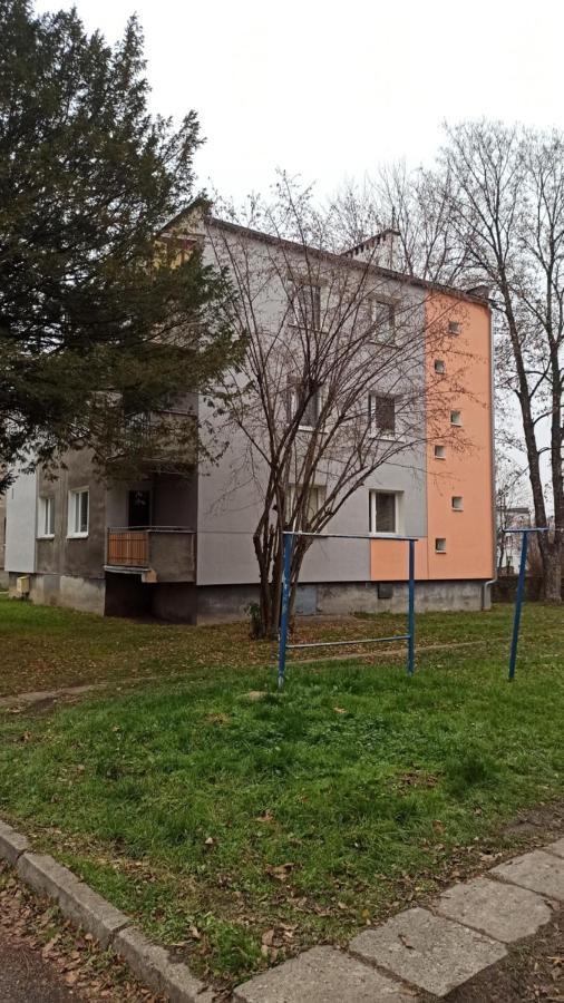 Apartament Zdrojowy II グウホワジ エクステリア 写真